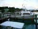 Thumbs/tn_seasprite 2.jpg